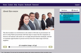 Diversity in Procurement Diversity in Procurement
